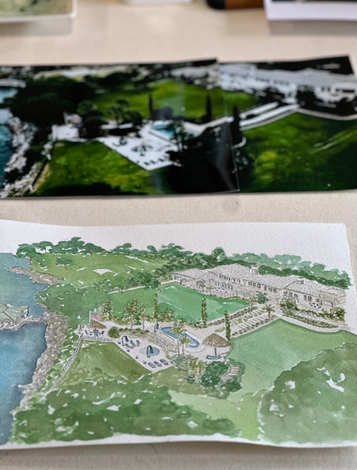 Arial View Property Painting Custom Illustration