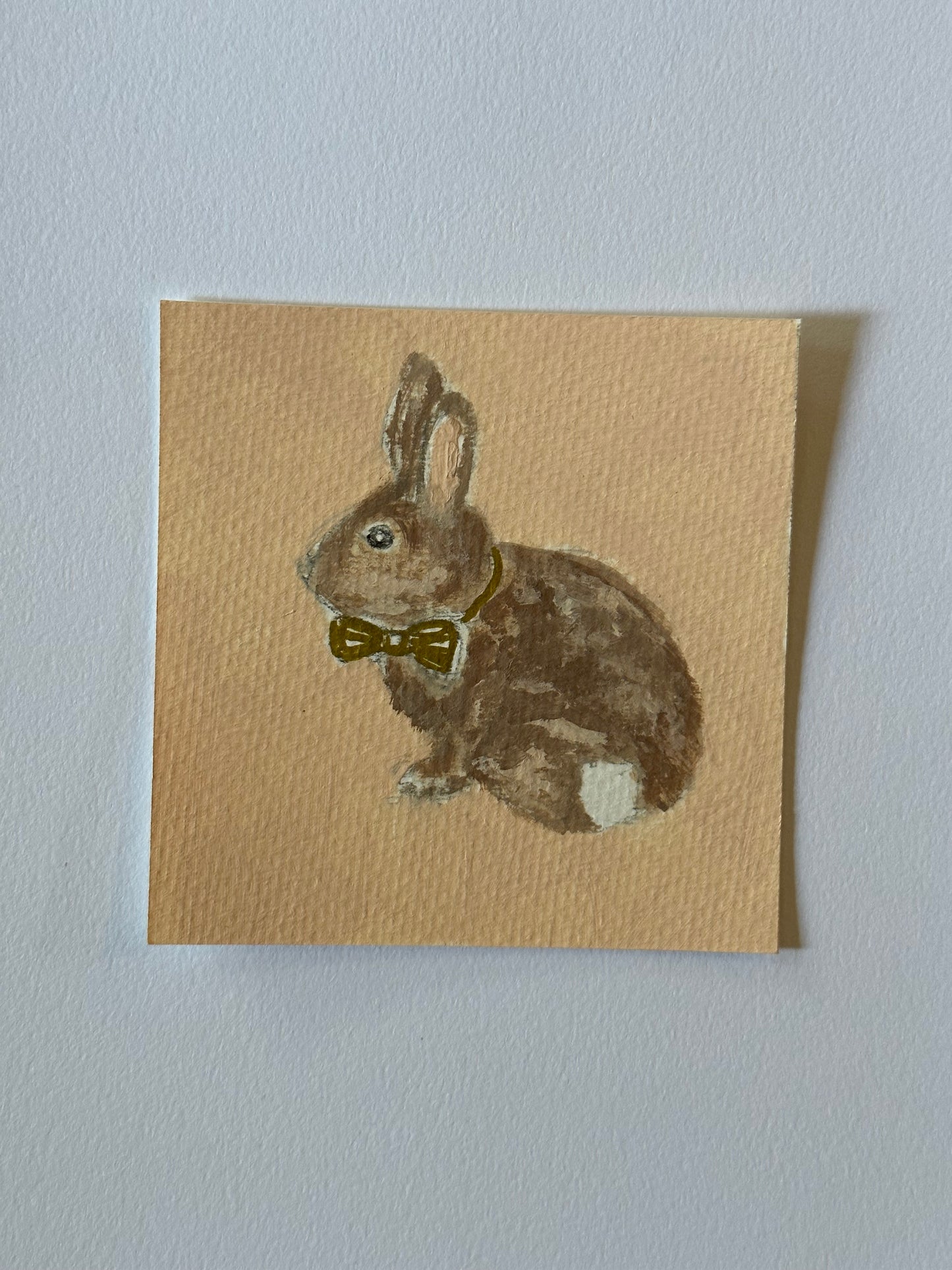 Bunny In The Bow
